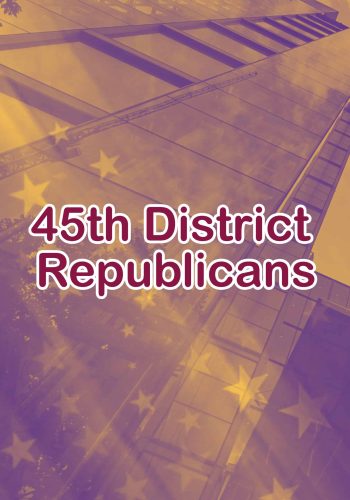 45th District Republicans